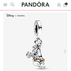 Pandora D100 Baloo Charm
